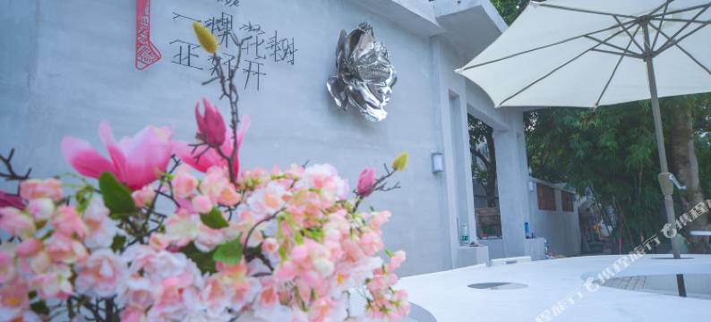 深圳一棵花树正好开民宿图片