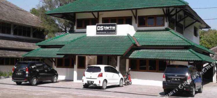 DS CoLive 玛丽娜(DS CoLive Marina)图片