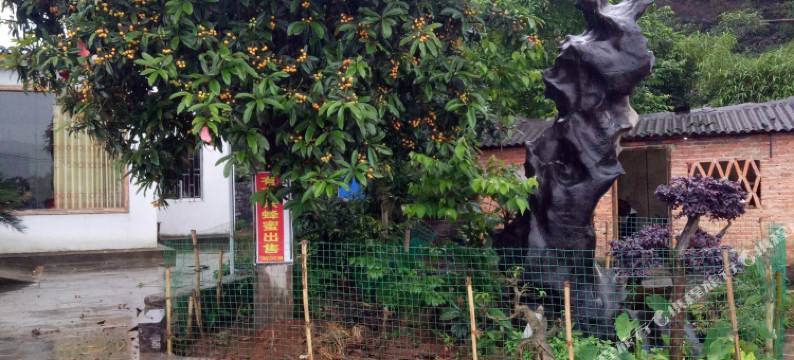 桂林车友饭庄(华侨农场店)图片