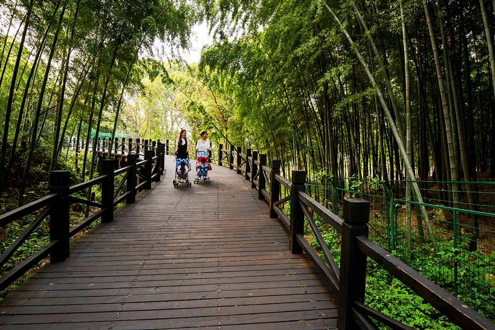 苏州树山书香世家温泉酒店图片