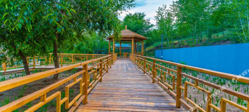 呼伦贝尔火车度假营地(海拉尔火车站店)图片