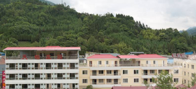 芦山天怡庄园图片