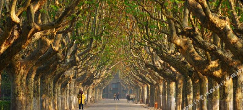 西安德泉酒店(西安交通大学兴庆宫地铁站店)图片
