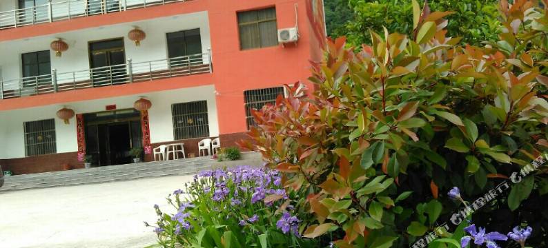 怡心岛生态小院图片