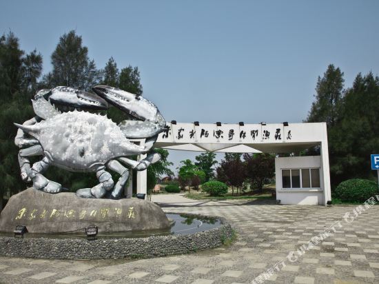 朱家尖阿德哥休闲渔庄