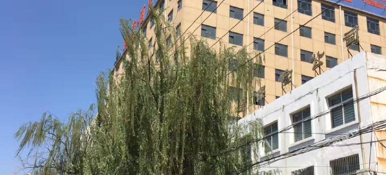 魏县睡莲梦酒店图片