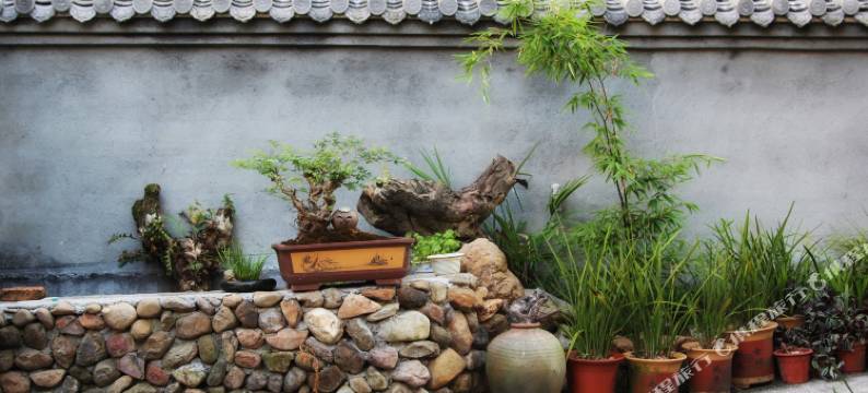 仙都必胜楼图片