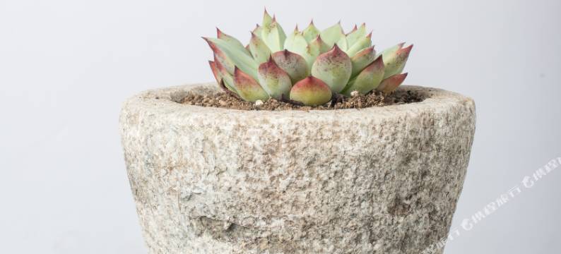 果然城市客栈(泰安天外村店)图片