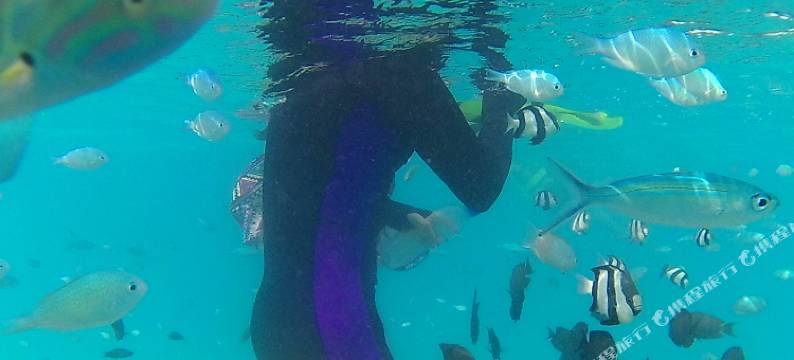 拉斯胡假日花园酒店(Holiday Garden Rasdhoo)图片