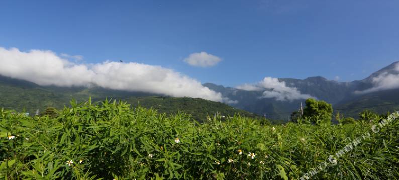 花莲大花紫薇民宿图片