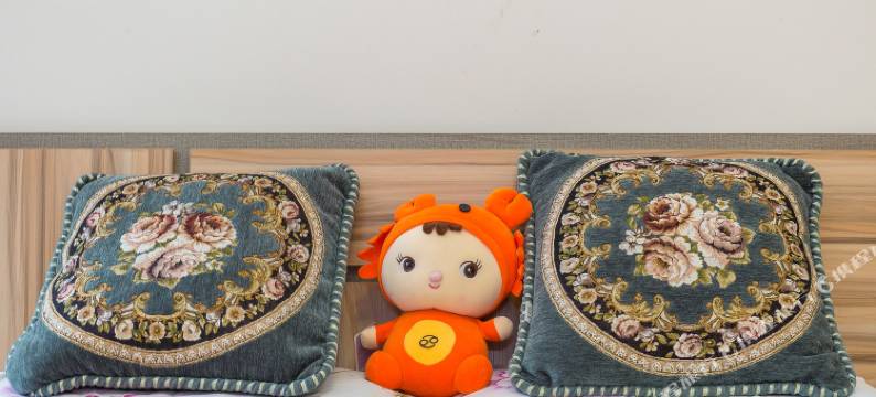 成都爱的住巢普通公寓图片