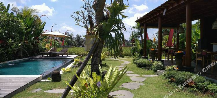 The Runik by GenuineHost图片