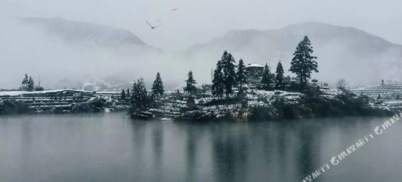 松阳柒茶客栈(大木山景区店)图片