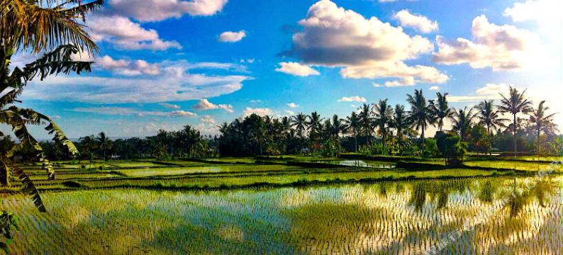 巴厘岛伊顿度假别墅(Eden Estate Villa Ubud)图片