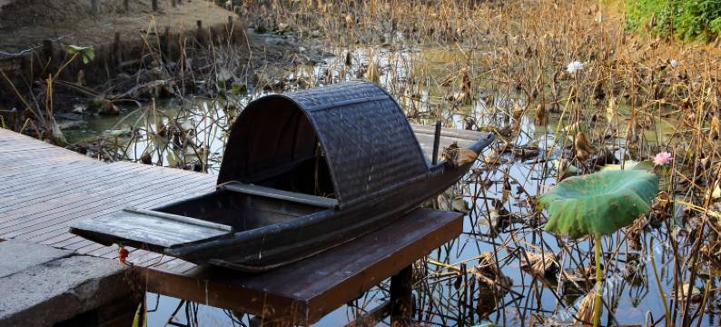 杭州荷月居民宿图片