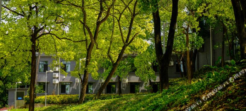 重庆张飞古道度假酒店图片