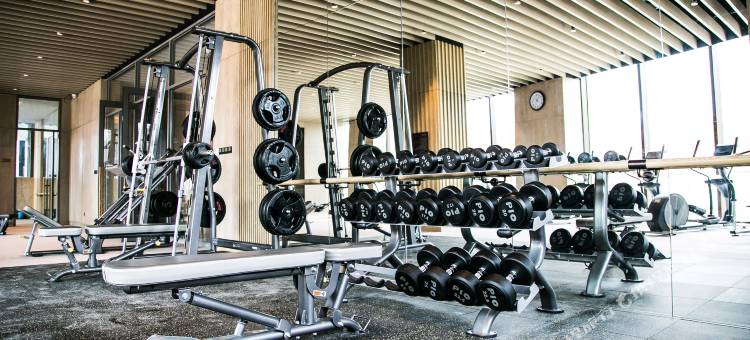 青岛红树林度假世界(椰林酒店)图片