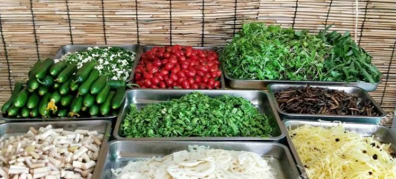 白洋淀艳梅农家院图片