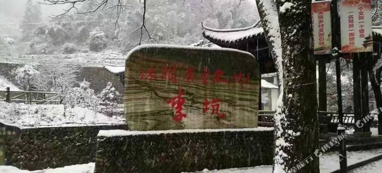 松阳移居民宿图片