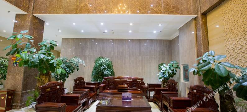 砚山龙湖元酒店图片