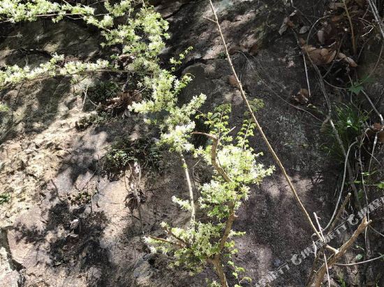 金华丁建华度假别墅