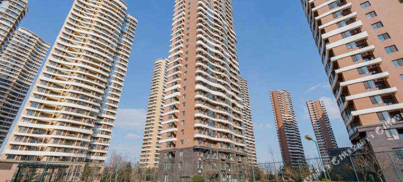 青岛新东居酒店图片