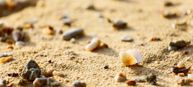 法亚马斯私人海滩度假村 - 仅限成人入住(Phayamas Private Beach Resort and Island Brew - Adults Only)图片