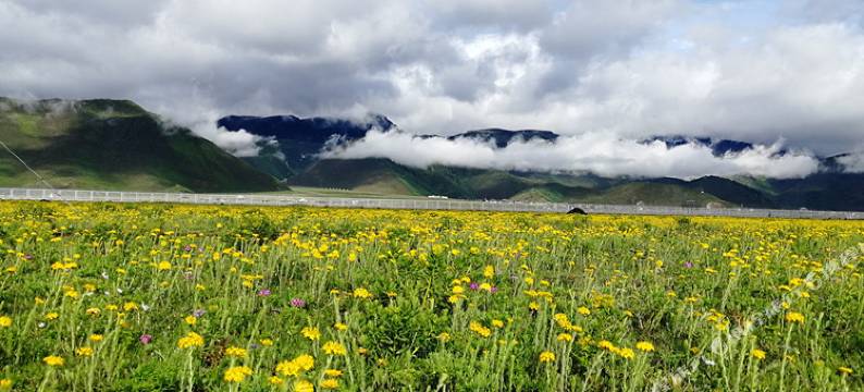 香格里拉东山顶上草原村舍图片