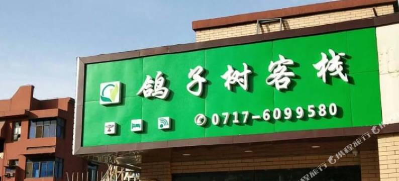 宜昌鸽子树青年旅舍图片