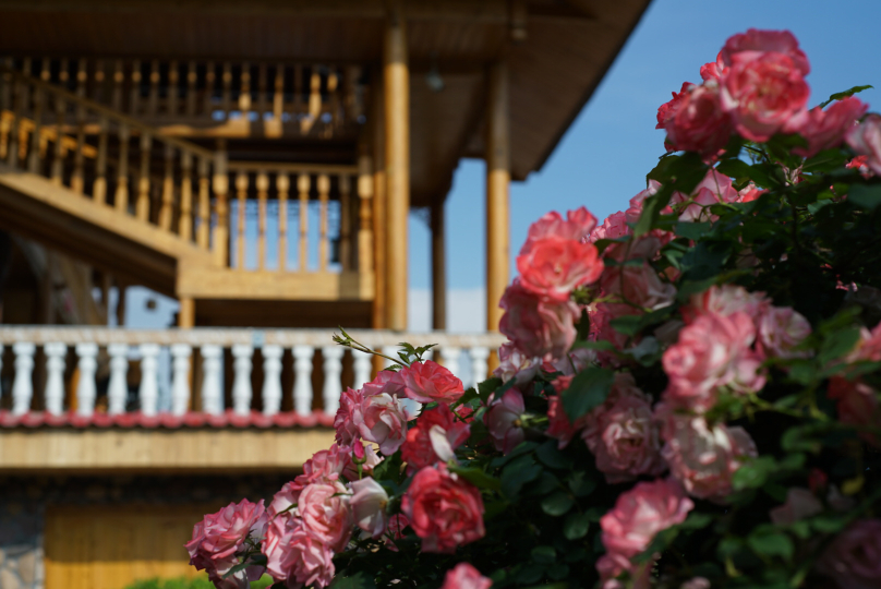 Xinning Jintian GuesthouseOver view