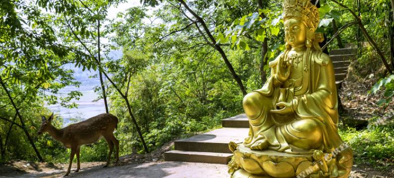 重庆紫竹宾馆图片