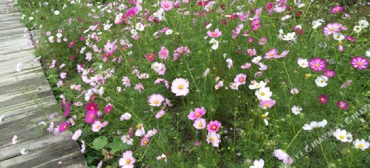 南雄香香农家菜馆(中坪书画生态园分店)图片