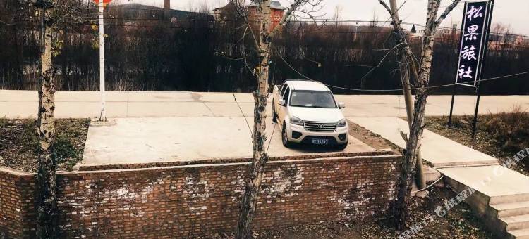 额尔古纳市莫尔道嘎镇松果旅社图片