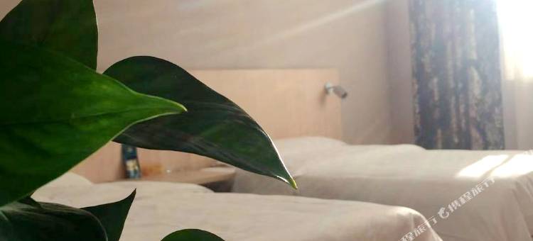 白城威尼斯商务宾馆图片