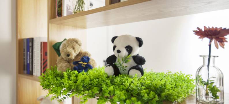 成都禾润公寓图片