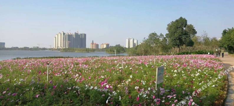 钦州瑞亚思客栈(吾悦广场店)图片