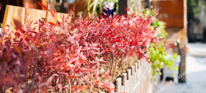 雁荡山秋之悦民宿图片