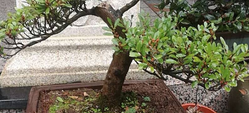 缙云乡村逸居客栈图片