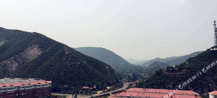 宜阳香樟树精品酒店图片