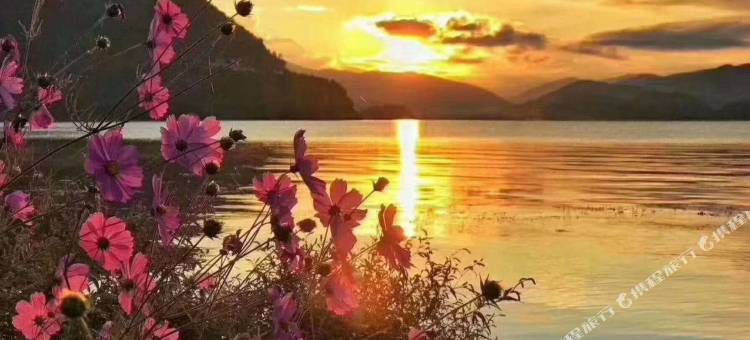 泸沽湖乐见湖景客栈图片