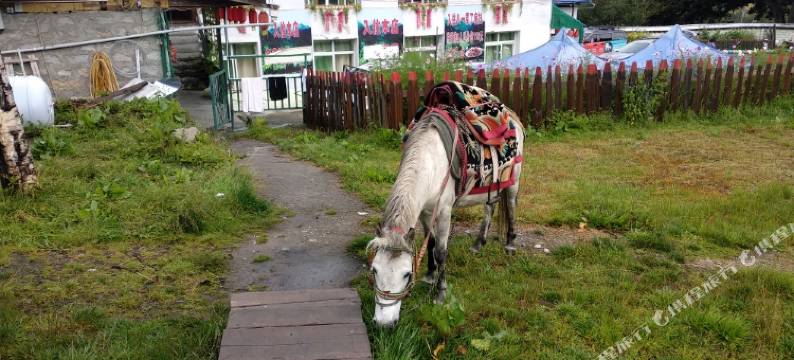 林芝川渝宾馆图片