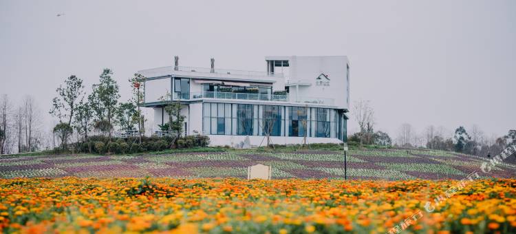 成都元素山丘民宿图片