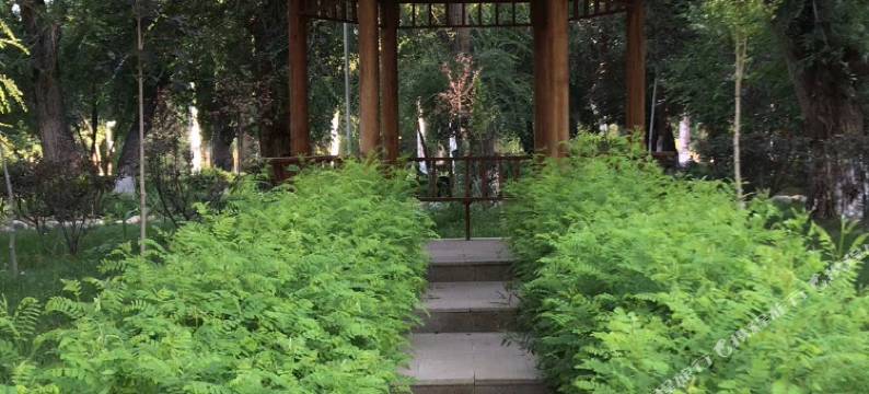 伊宁天缘雅居酒店图片