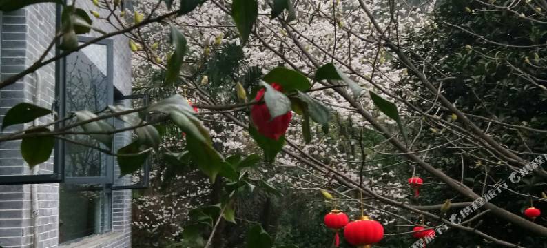 峨眉山蓬莱别墅酒店图片
