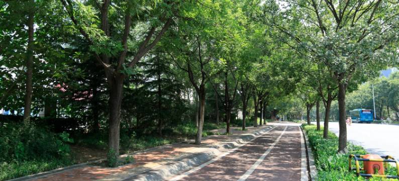 济南Chris1234公寓图片