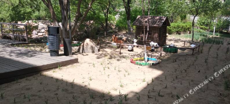 铁西广场小清新民宿图片