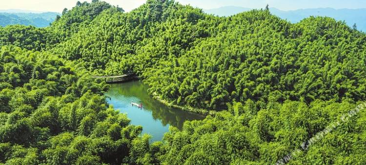 沐川海情酒店图片