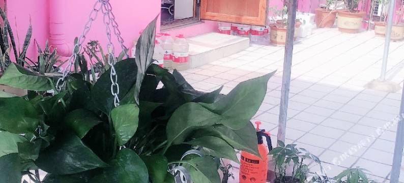 滦县春辉宾馆图片