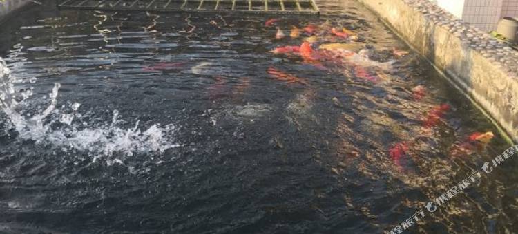 江门聚缘公寓图片