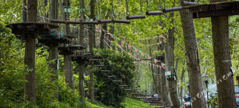 途居南通开沙岛露营地图片